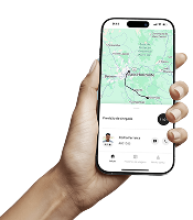 Acompanhe em tempo real